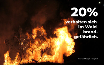 KFV-Dunkelfeld-Studie: Brandgefährliches Verhalten im Wald